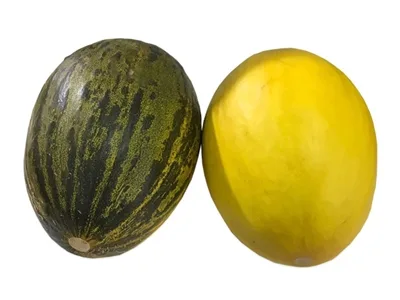 Toptan Kırkağaç Kavunu — Meyveler tedariki