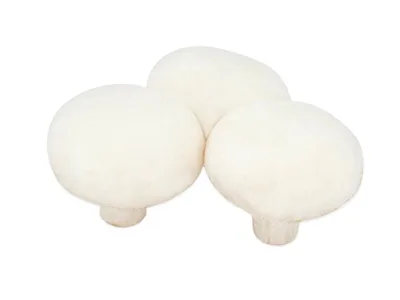 Toptan Kültür Mantarı (Paket) — Sebzeler tedariki