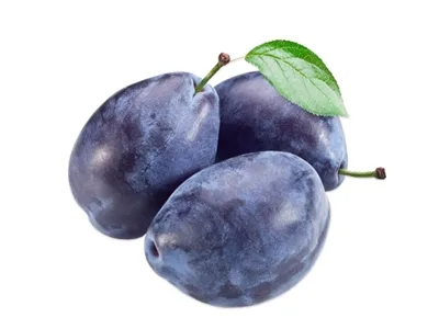 Toptan Mürdüm Eriği — Meyveler tedariki