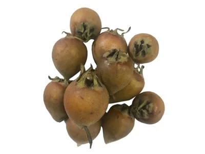 Toptan Muşmula — Meyveler tedariki