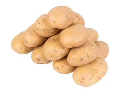 Toptan Agria Patates (Kızartmalık) — Sebzeler tedariki