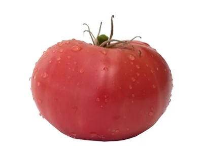 Toptan Pembe Domates — Sebzeler tedariki