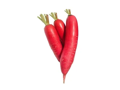 Toptan Pembe Japon Turpu (Daikon) — Sebzeler tedariki