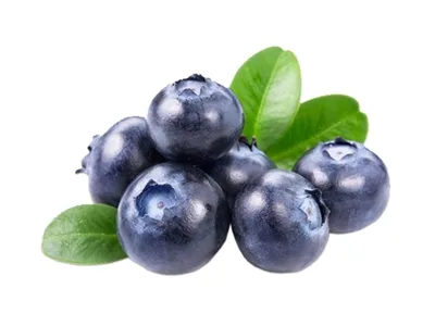 Toptan Yaban Mersini — Meyveler tedariki
