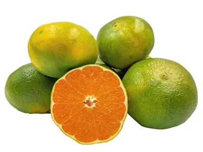 Toptan Yeşil Mandalina — Meyveler tedariki